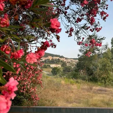 Albizia 6p, Private Heated Pool Sea View 5 Minutes From Favone Conca