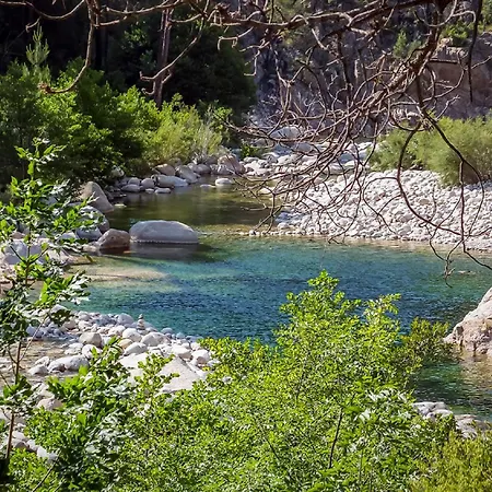 Albizia 6p, Private Heated Pool Sea View 5 Minutes From Favone Villa *